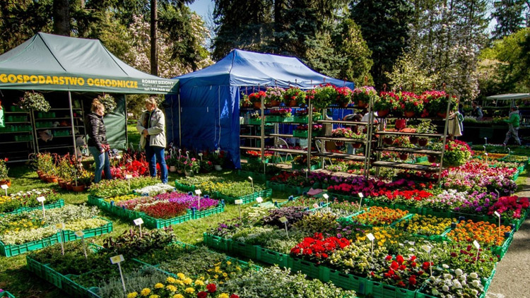 Venkovní Zahradnické trhy místo jarní výstavy Flora Olomouc