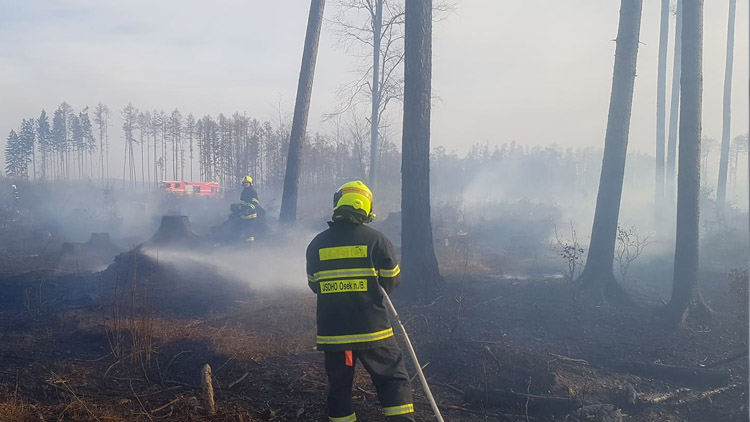 Dva velké lesní požáry řešily jednotky na Olomoucku a Přerovsku