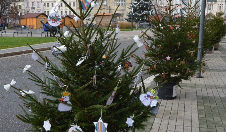Náměstí opět olemují vánoční stromečky