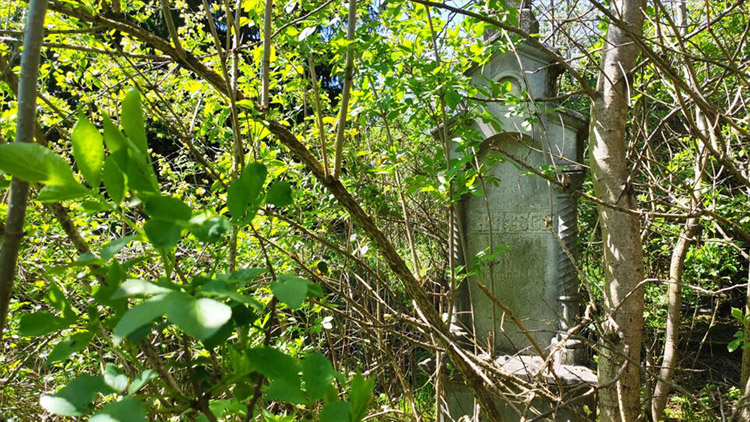 Neuvěřitelné!  Zaniklý německý hřbitov  ve Lhotě u Konice  nadchl i umělou inteligenci