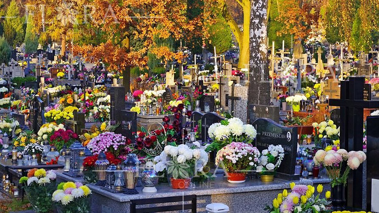 Dušičky a květiny na hrob, jak si vybrat ty správné?