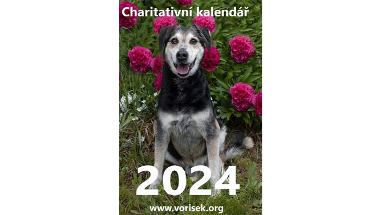 Chystá se charitativní kalendář útulku VOŘÍŠEK 2024