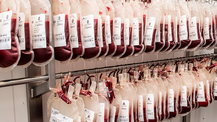 Zdraví dárců krve a plazmy hlídá důkladné vyšetření