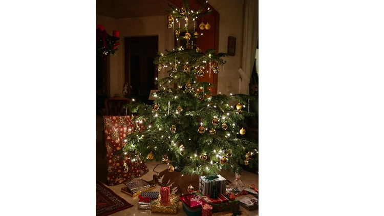 První český vánoční stromek se objevil v roce 1812