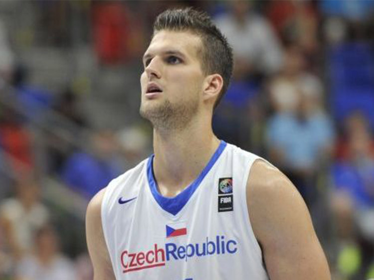 Palyza v reprezentaci