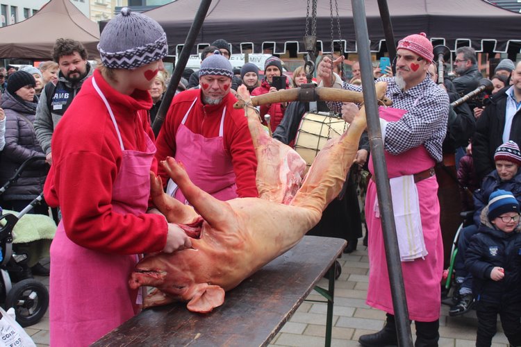 Prase Miloš?  Ne, z pašíka  se stal Kubíček!