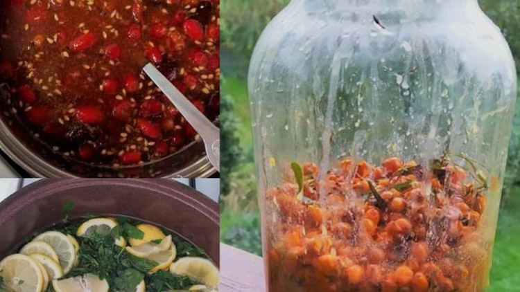 Recepty z darů přírody bohatých na vitamíny