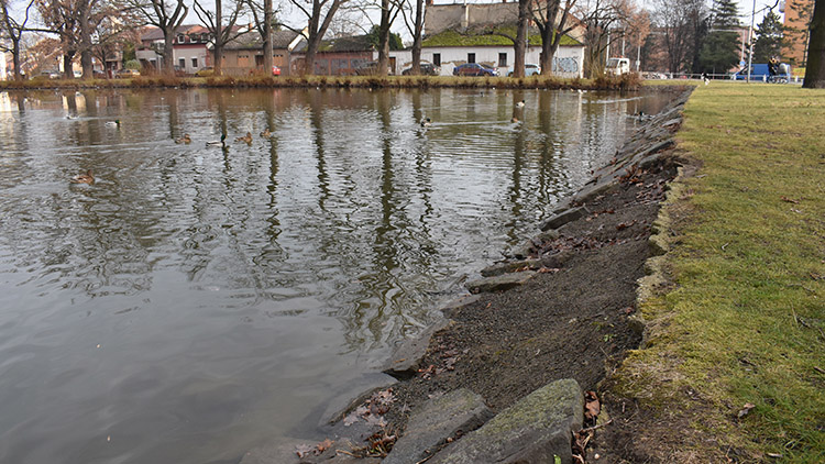 Kam dát odpadkové koše v Prostějově?