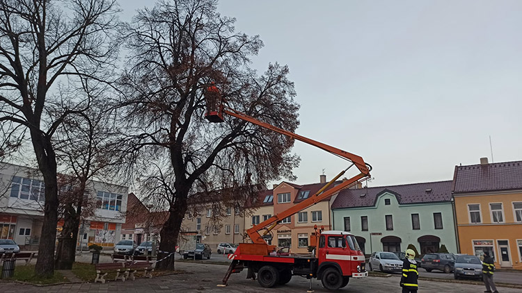Hasiči z Konice odstraňovali nebezpečné větve. 