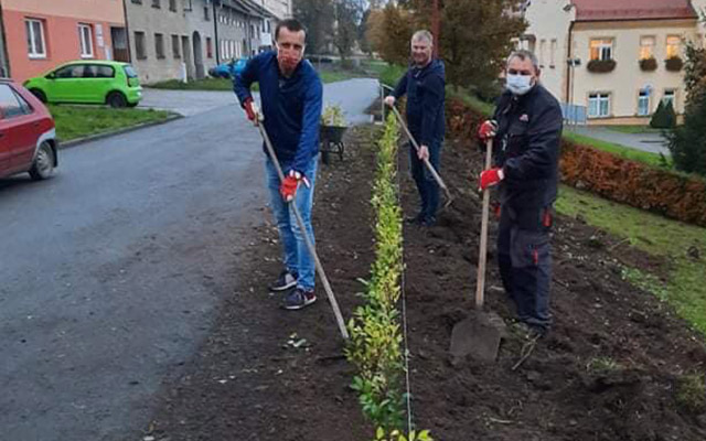 V centru Kostelce rostou  nové lípy, javory i třešně