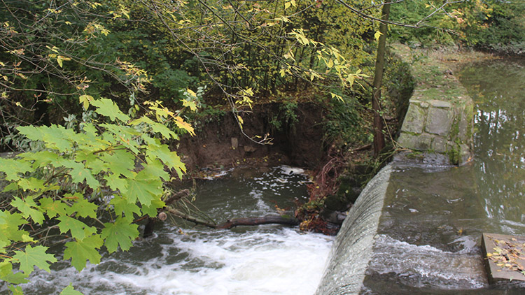 Z vodní nádrže bahnitá stoka