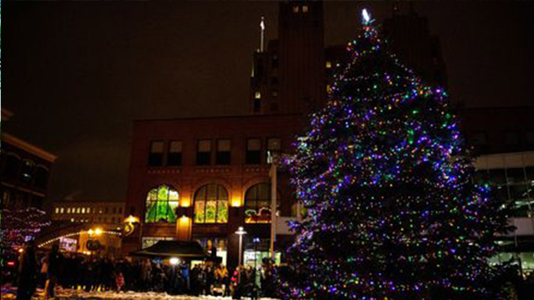 Vánoční strom už stojí