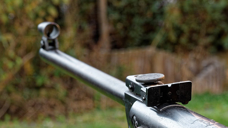 Ukradl, co mohl: Dokonce i zbraň!