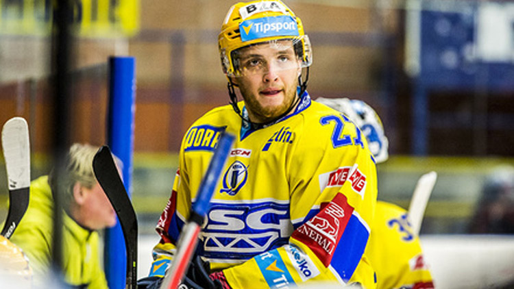 Honejsek prožívá životní sezónu