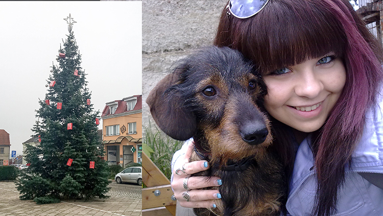 Vánoční strom na konickém náměstí je pevně spjat se životem sympatické rodačky