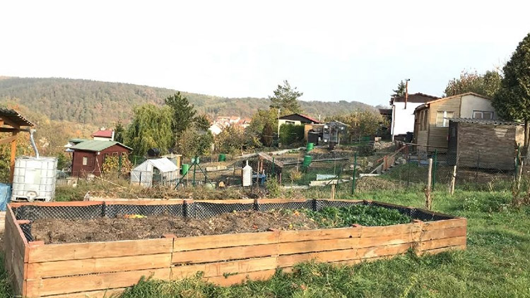 Podaří se na „Běláku“  rozjet komunitní zahradu? 