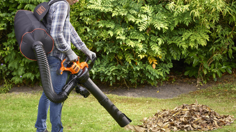 Úklid ohrožuje hmyz...
