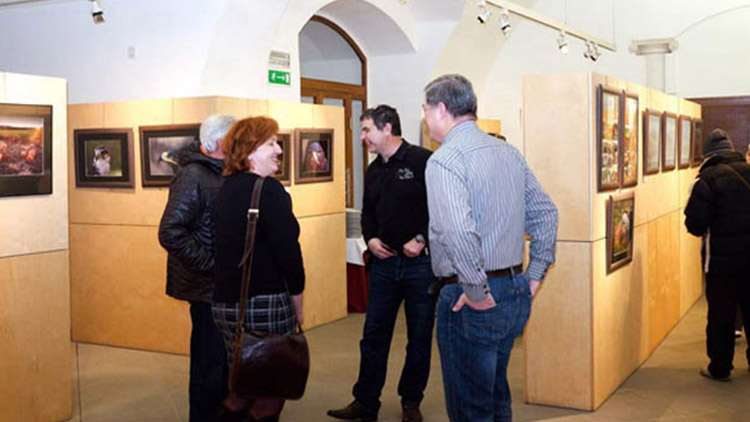 Fotografové to nevzdali  Memoriál Luďka Mařáka se uskuteční