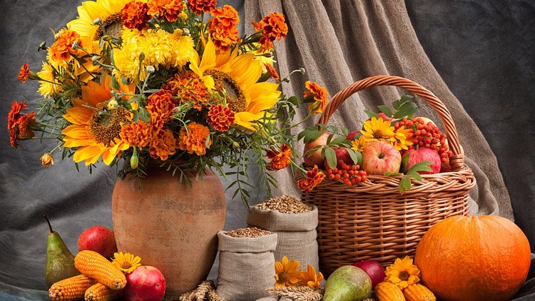 Kdo měl nejhezčí výzdobu?