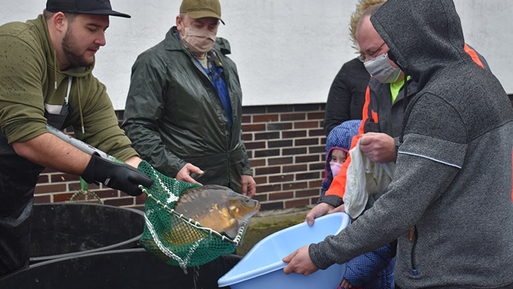 Nemocnice zaměstnancům rozdala kapry. Šli na dračku