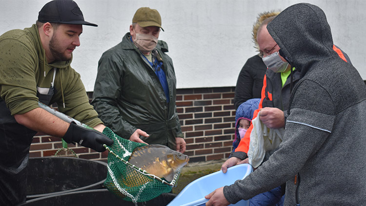 Nemocnice zaměstnancům rozdala kapry. Šli na dračku
