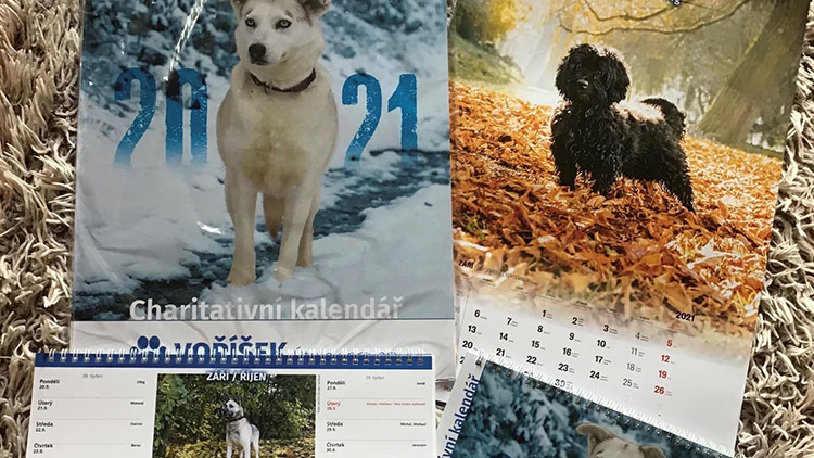 Útulek Voříšek opět vydal kalendáře, které pomáhají