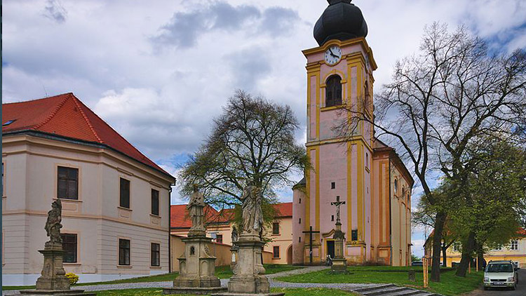 Bývalá zuška vyhlíží opravu