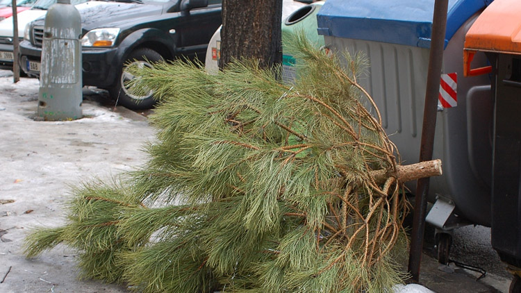 Stromky ke kontejnerům
