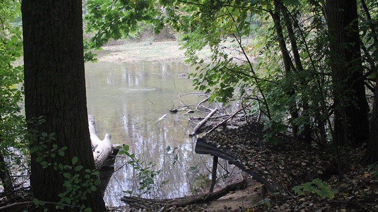 Památné stromy jsou v kurzu