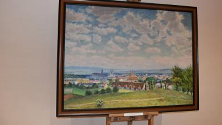 Za Hohausem do zámku virtuálně