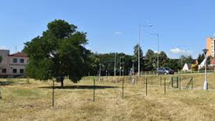 Magistrát chce oplotit loučku