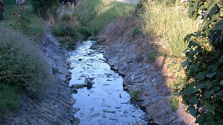 Vyčistí Lesy ČR zanesenou nádrž?