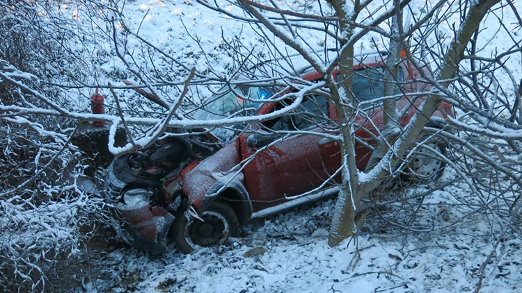 Vyletěla za silnice, přerazila strom