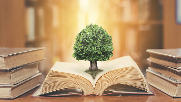 Kam za vzděláním?