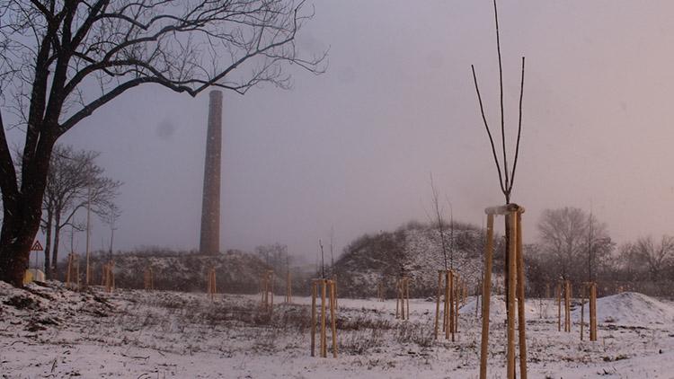 Místo cukrovaru už roste zeleň