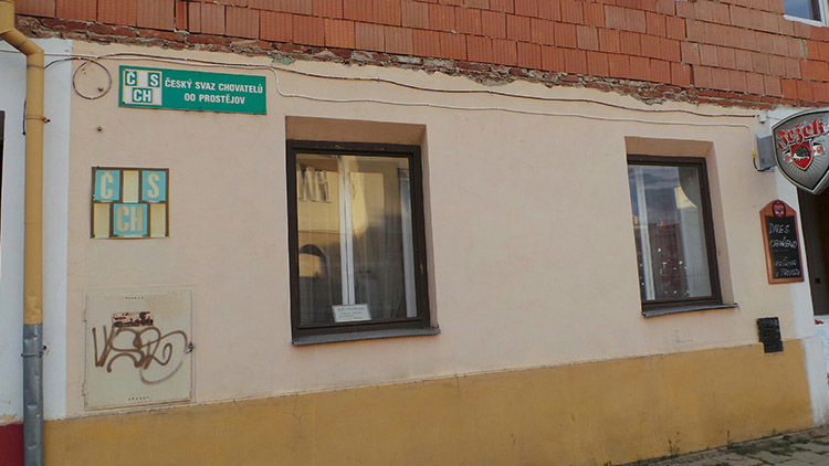 Radní podpoří dotacemi výstavbu