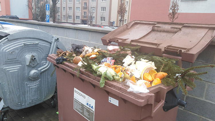 Kusy polystyrenu či flašky od piva. V nádobách na bioodpad lze najít ledacos