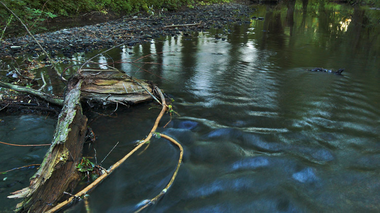 Hlídají výšku hladiny