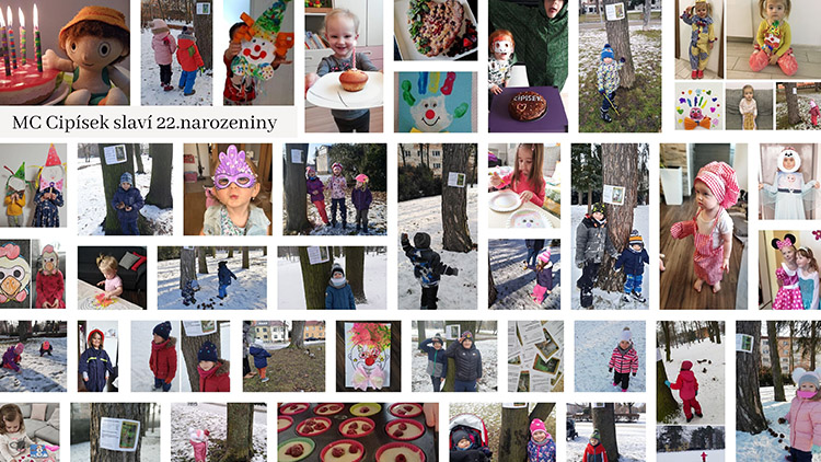 Cipísek oslavil své 22. narozeniny on-line