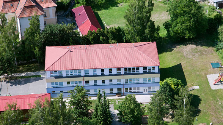 V Konici si můžete pokácet strom 