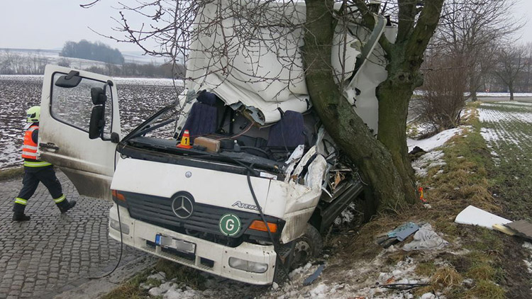 Lekl se srny, napálil do stromu