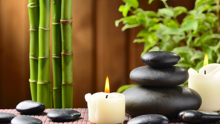 Víte, které rostliny vám podle Feng šuej berou energii?