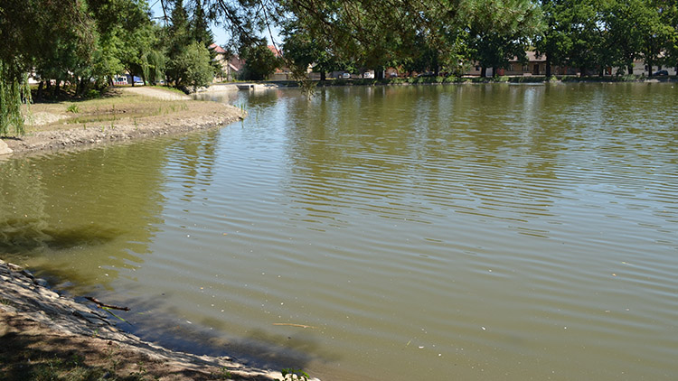 Břehy ostrůvku zůstanou zarostlé