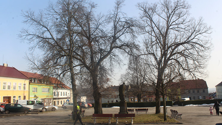 Část místních se obává kácení na náměstí