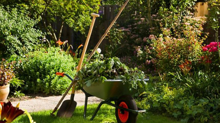 Co vše je potřeba udělat na jarní zahradě?