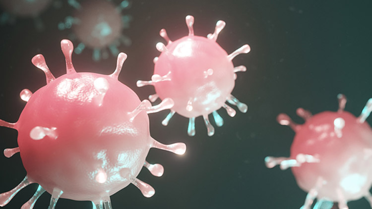 Malování reality na růžovo:  když vládní opatření nefungují