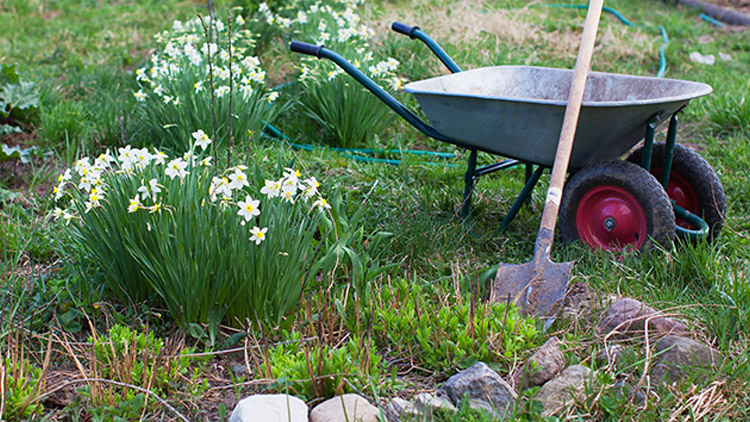 PROSTĚJOVSKO &amp; JARNI ZAHRADA