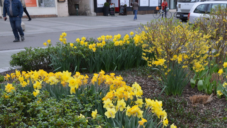 Smlouva s FCC se rozšířila
