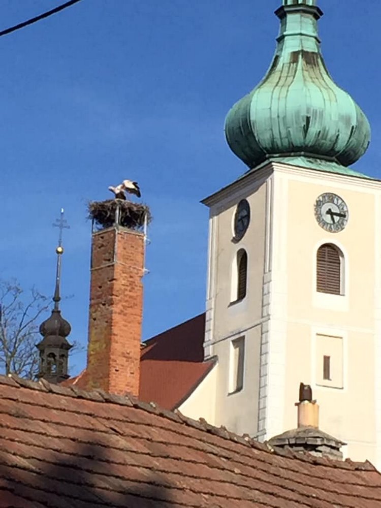 Čápi jsou tady! Většina hnízd už je obsazena