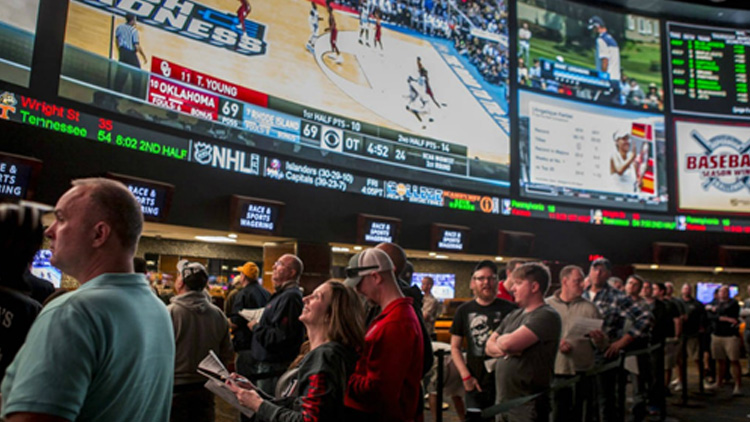 Výhody online sázení na sport